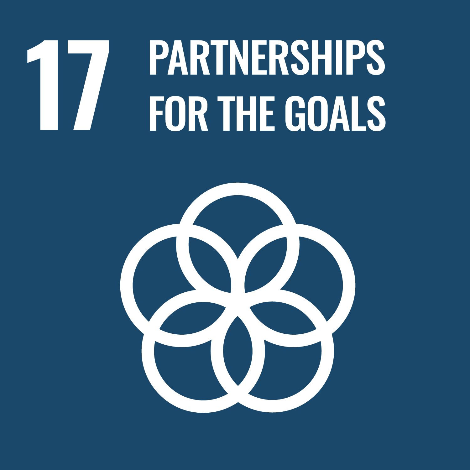 17: Partnerships for the goals.