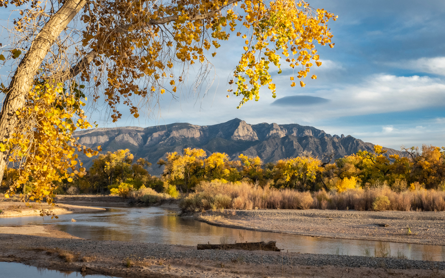 Autumn Along the River with Mountain Background